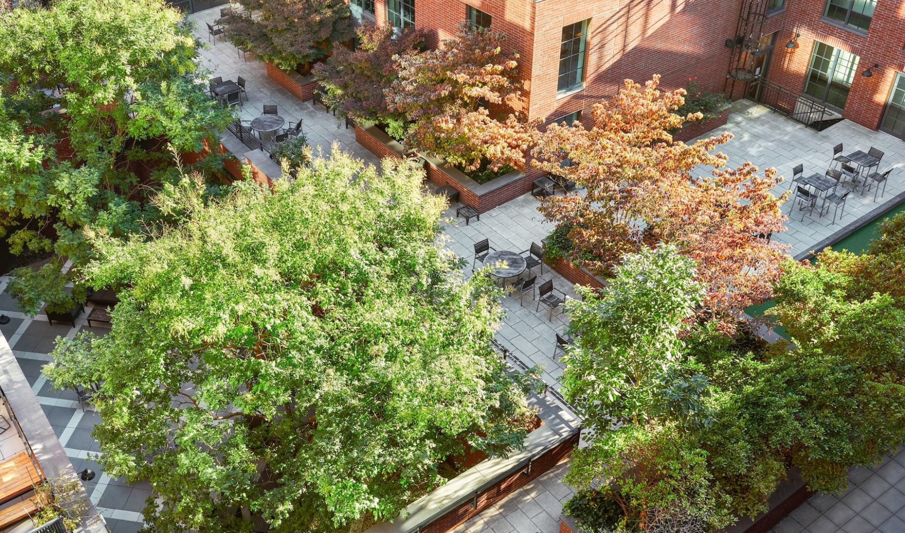 50 N 5th Courtyard 50 N 5th Courtyard